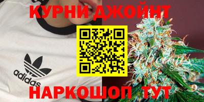 прущие грибы Будённовск