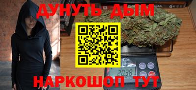 прущие грибы Будённовск