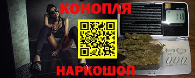 прущие грибы Будённовск
