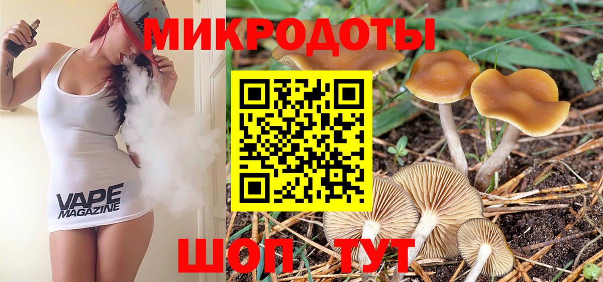 Орехово-Зуево  Псилоцибиновые грибы Psilocybe  Вход с VPN 